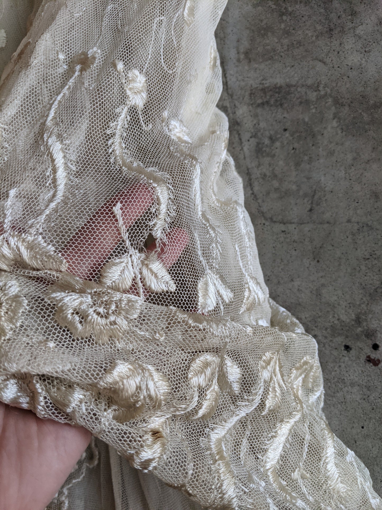 1900s Net Lace Dress