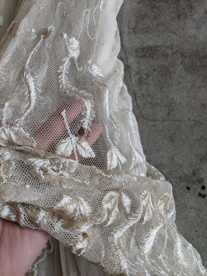 1900s Net Lace Dress