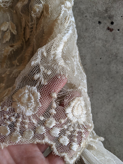 1900s Net Lace Dress