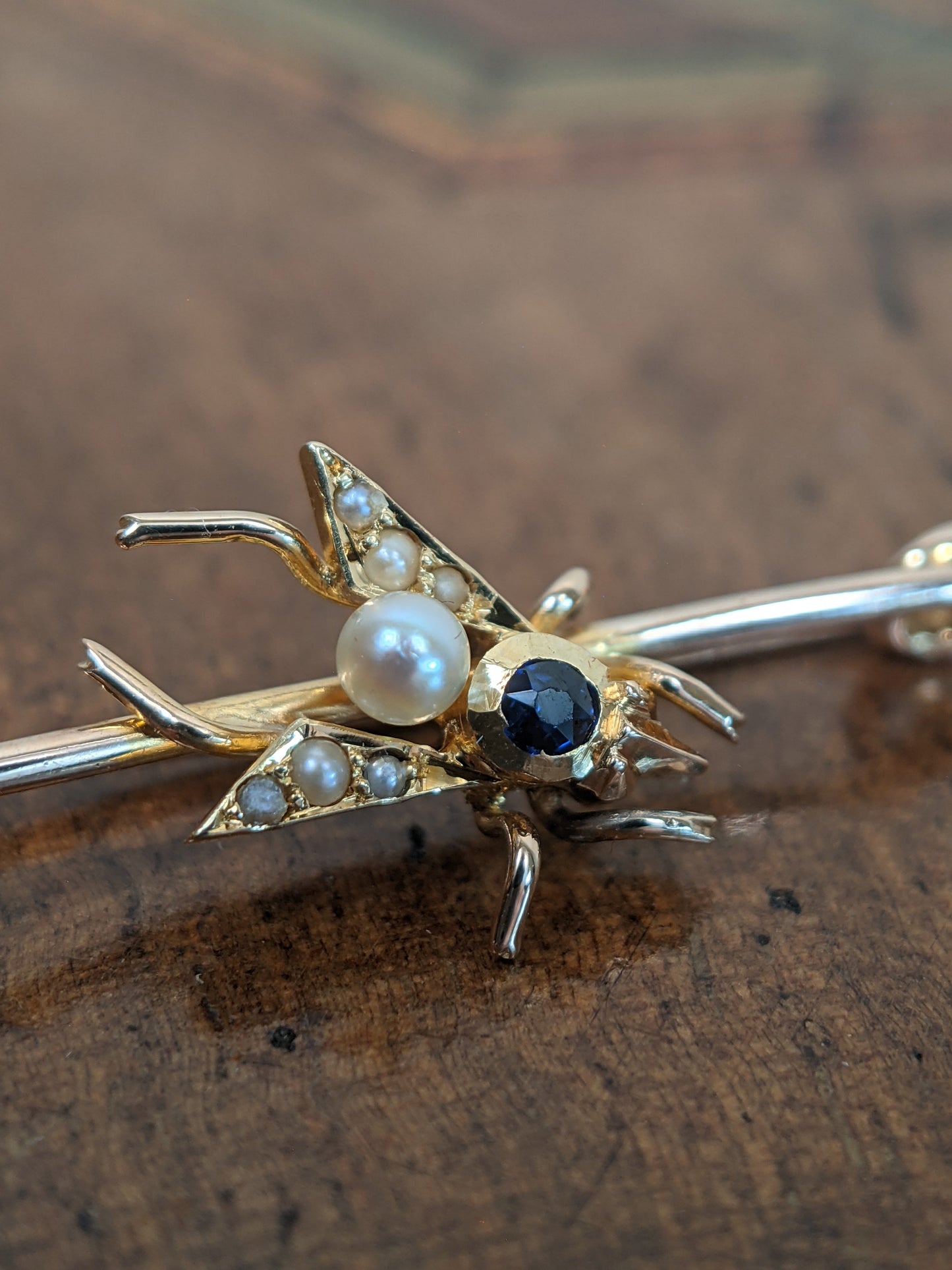 1900s 14k Sapphire + Pearl Fly Pin