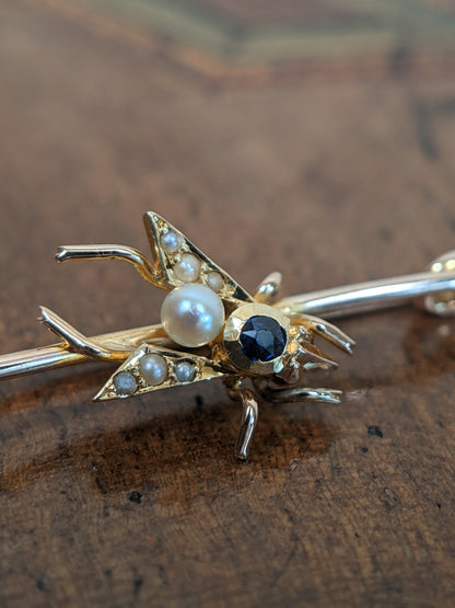 1900s 14k Sapphire + Pearl Fly Pin