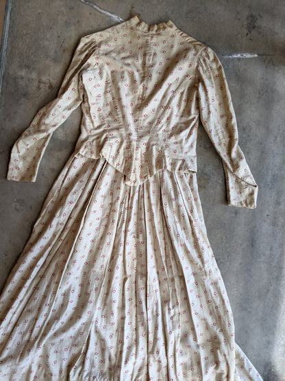 1880s Soft Cotton Printed Dress