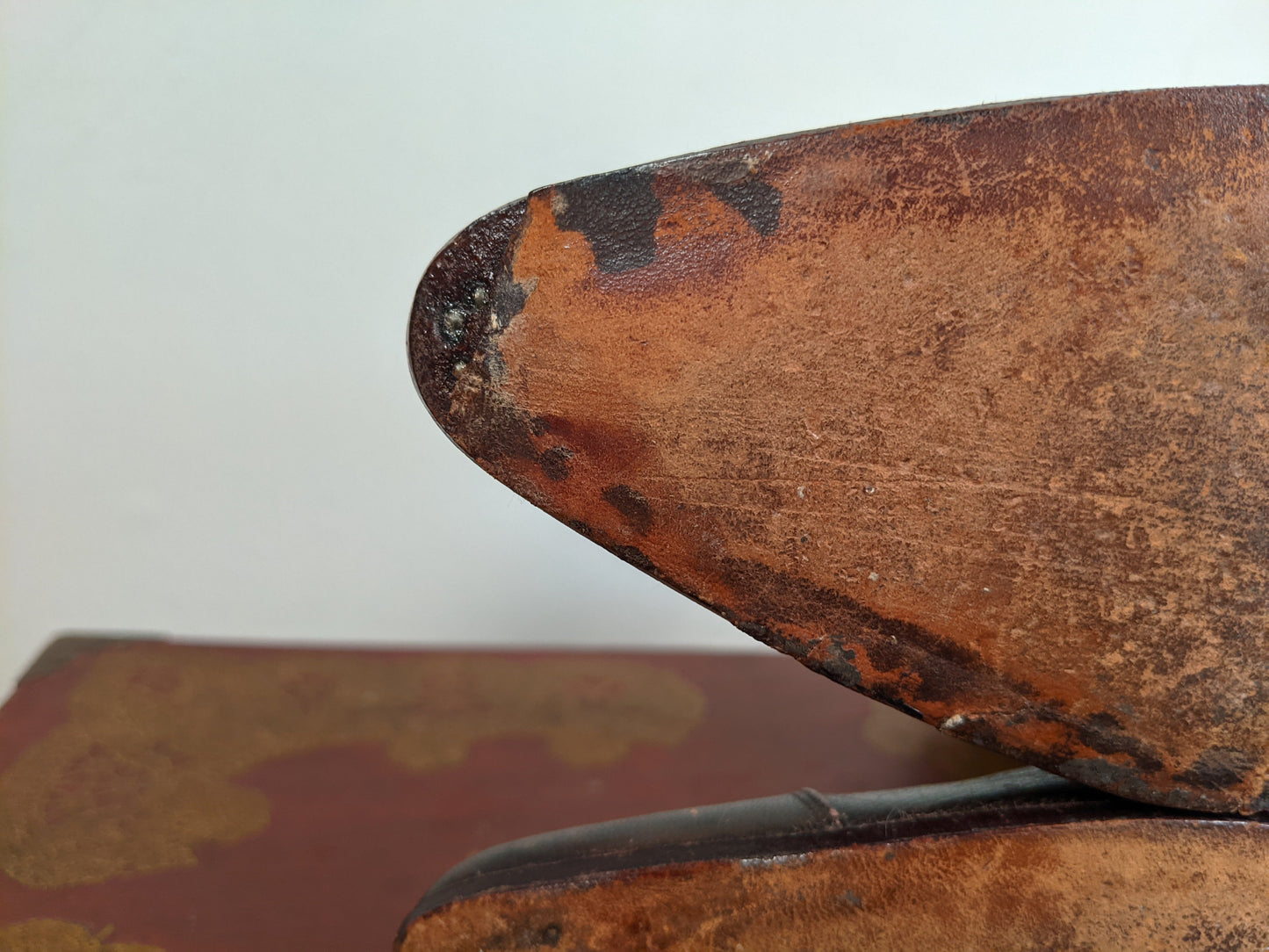 1890s Boots by F. Mayer Boot and Shoe Co.