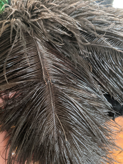 1900s Beaver Hat | Ostrich Feather