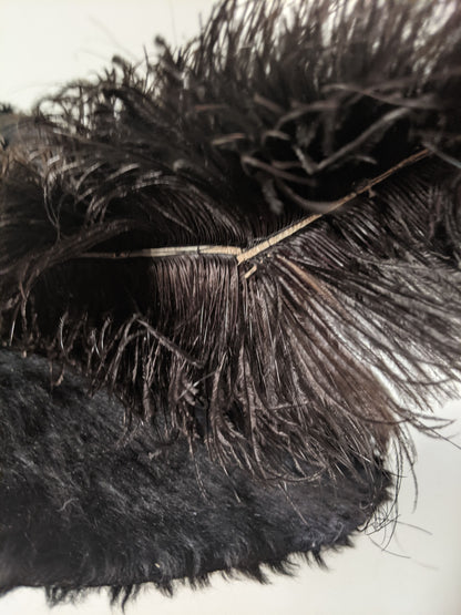 1900s Beaver Hat | Ostrich Feather