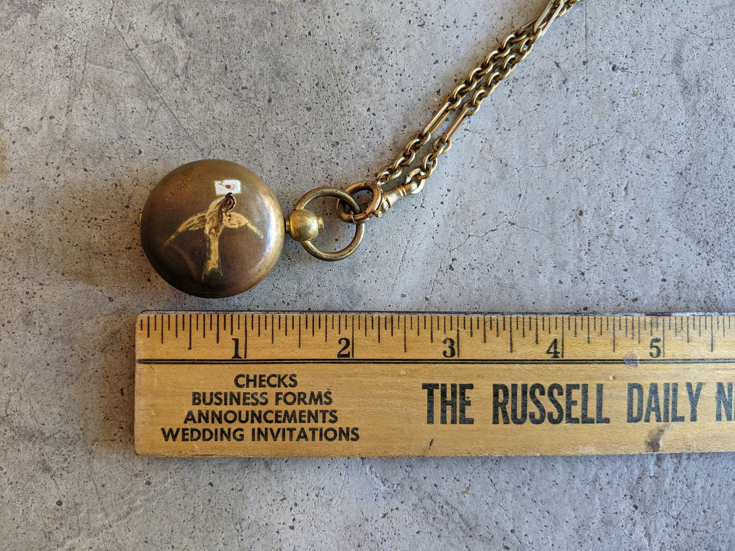 1890s-1900s Hand Painted Sovereign Case + Chain