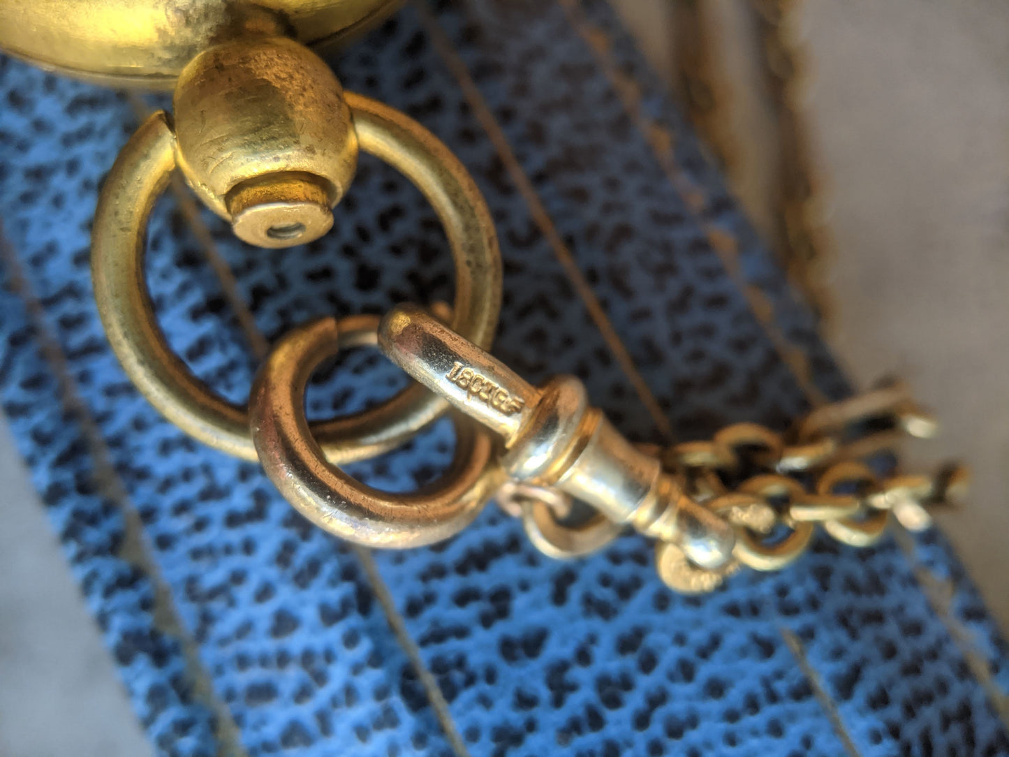1890s-1900s Hand Painted Sovereign Case + Chain