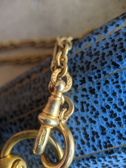 1890s-1900s Hand Painted Sovereign Case + Chain