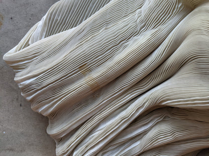 1900s Ethereal Silk Pleated Dress