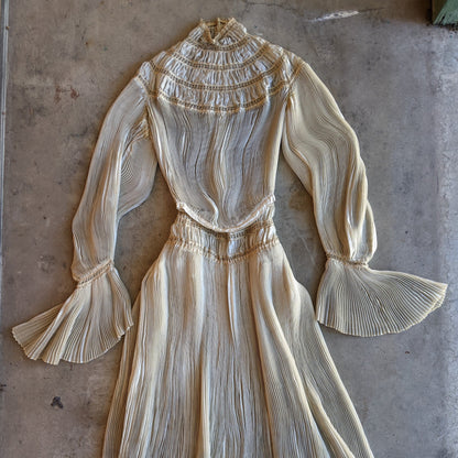 1900s Ethereal Silk Pleated Dress