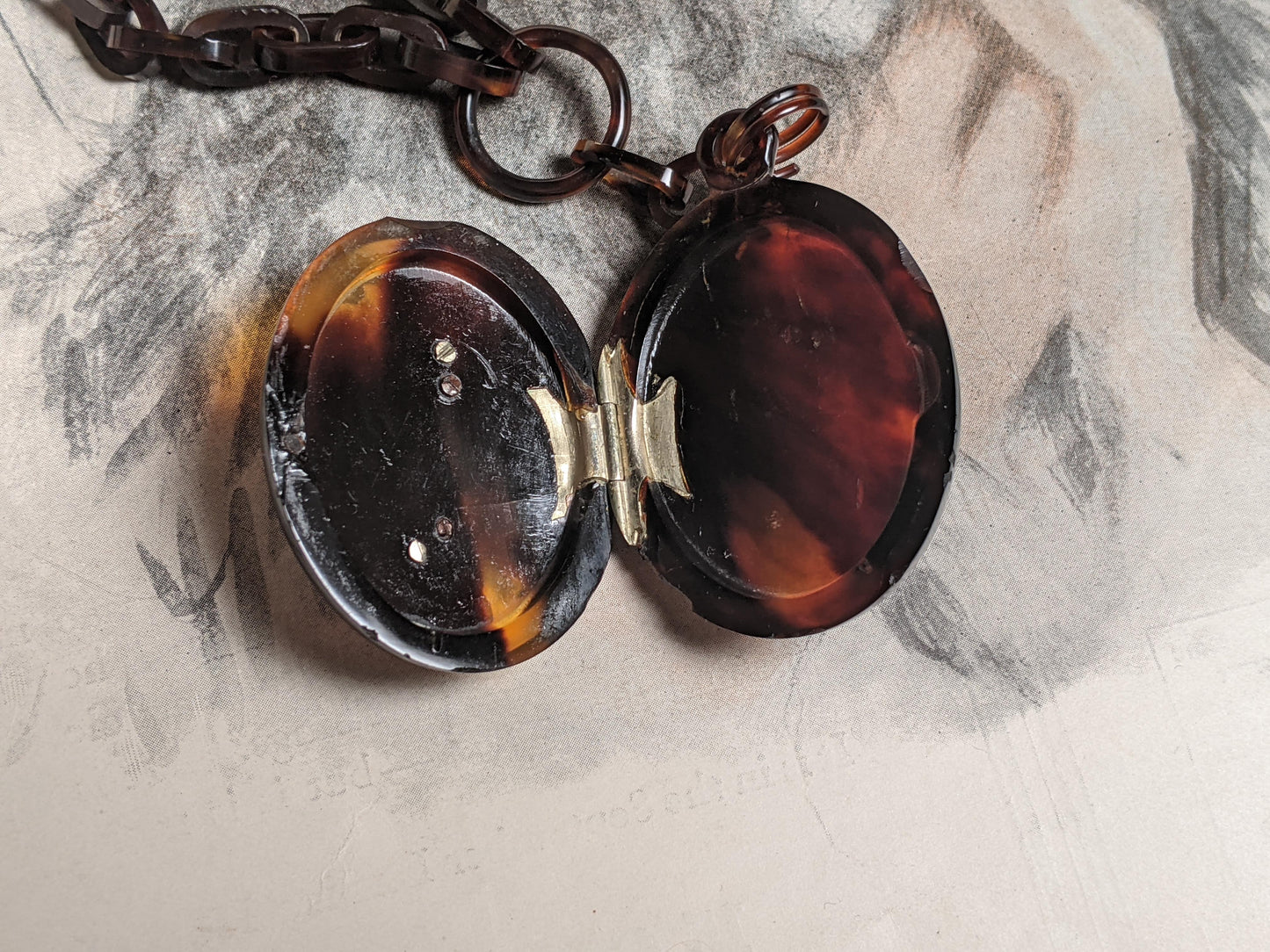 19th c. Tortoise Shell Locket + Chain