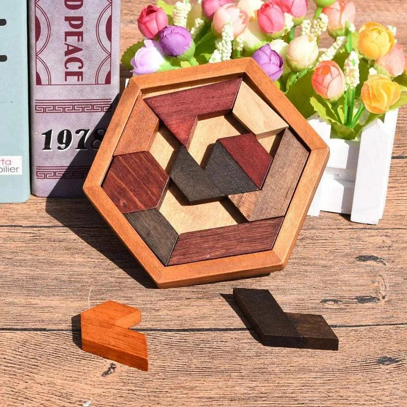 Wooden Geometric Shape Jigsaw Board Puzzles Kids Brain Teaser Non ToxiThe Plug