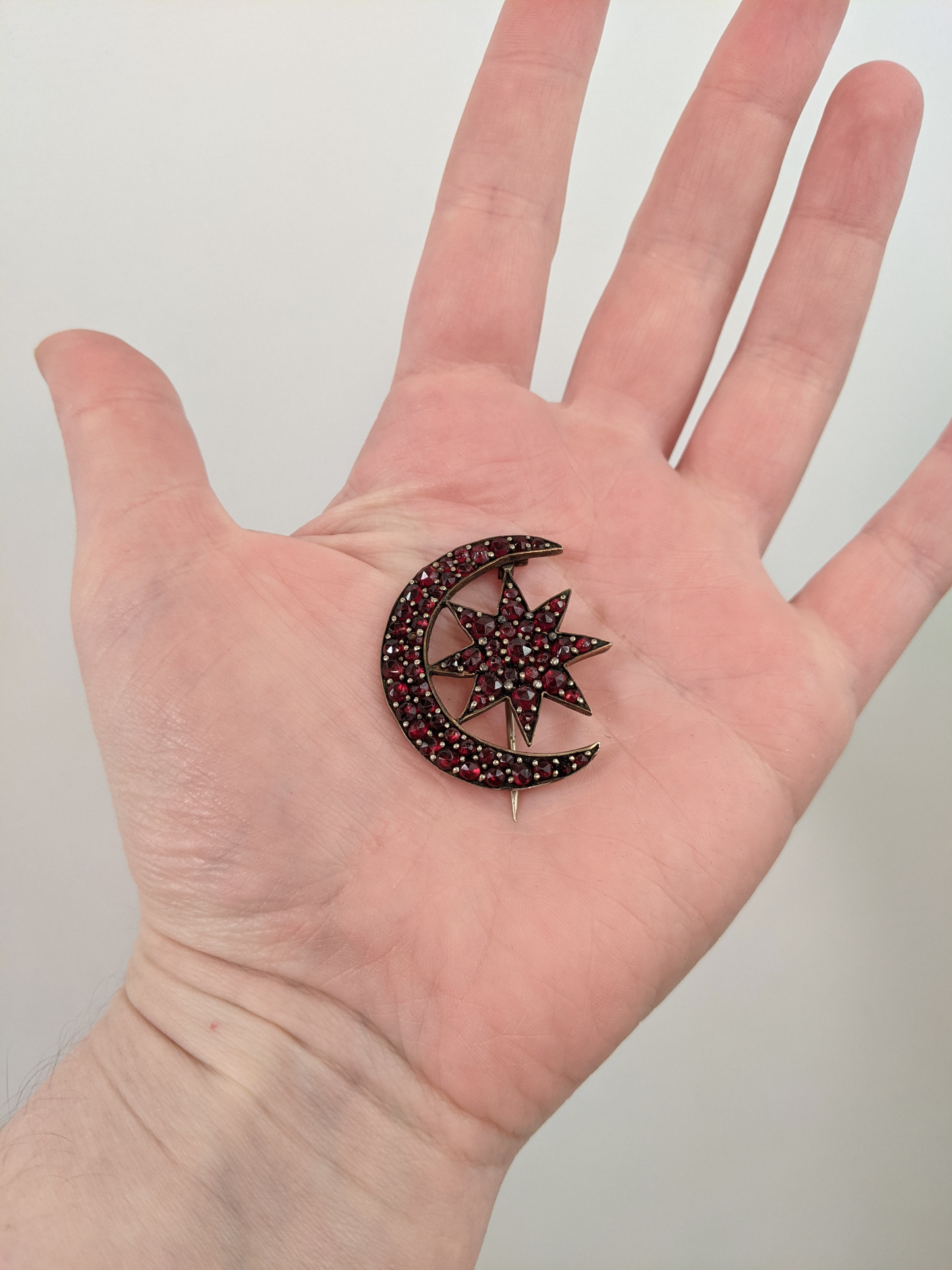 Bohemian Garnet Celestial Brooch C. 1890s